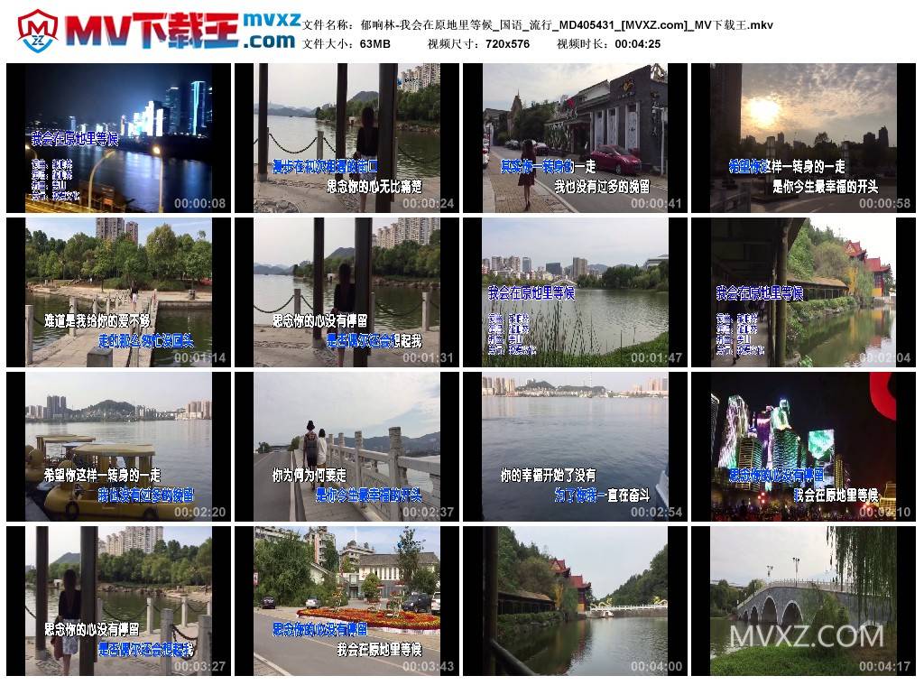 郁响林-我会在原地里等候_国语_流行_MD405431